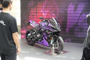 images/tgs3.JPEG